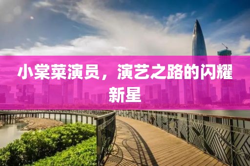 小棠菜演员，演艺之路的闪耀新星