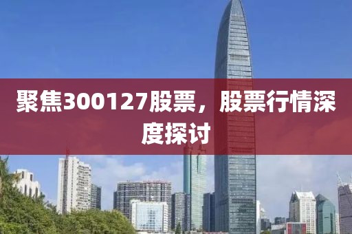 聚焦300127股票，股票行情深度探讨