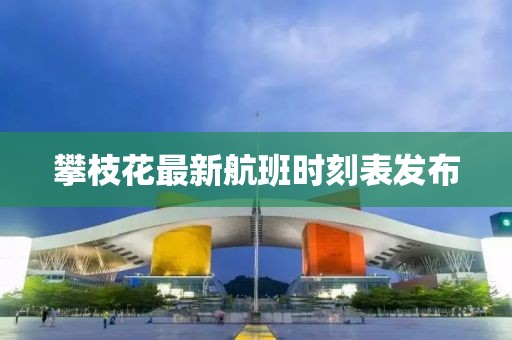 攀枝花最新航班时刻表发布
