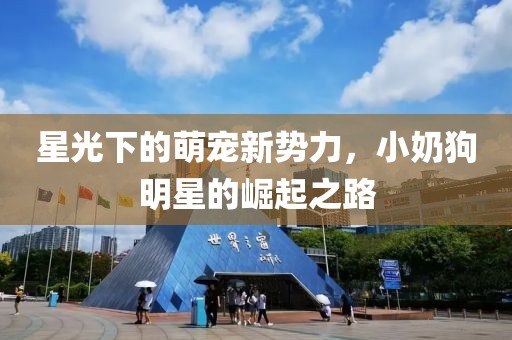 星光下的萌宠新势力，小奶狗明星的崛起之路