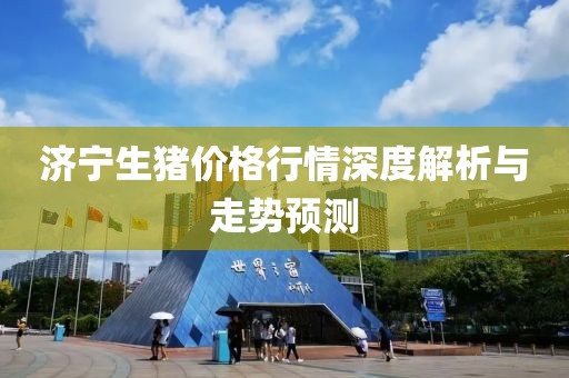 济宁生猪价格行情深度解析与走势预测