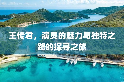 王传君，演员的魅力与独特之路的探寻之旅