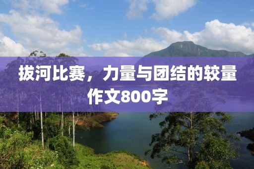 拔河比赛，力量与团结的较量作文800字