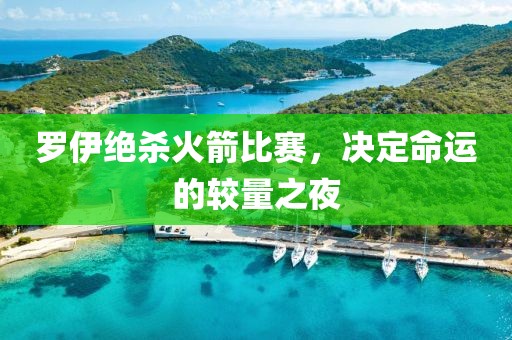 罗伊绝杀火箭比赛，决定命运的较量之夜