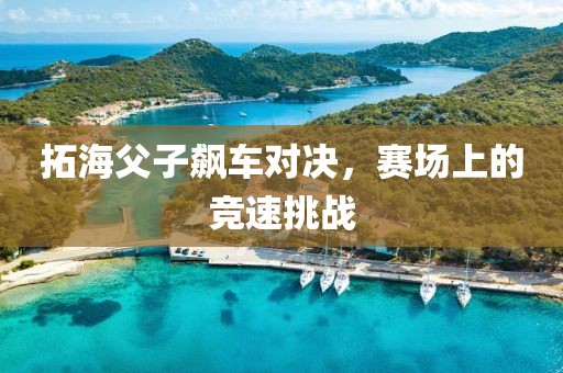 拓海父子飙车对决，赛场上的竞速挑战