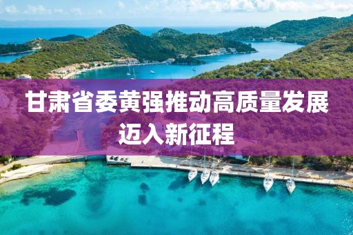 甘肃省委黄强推动高质量发展迈入新征程