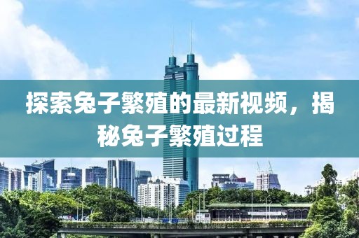 探索兔子繁殖的最新视频，揭秘兔子繁殖过程