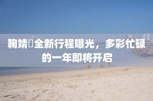 师资力量