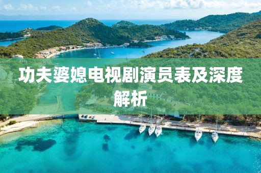 功夫婆媳电视剧演员表及深度解析