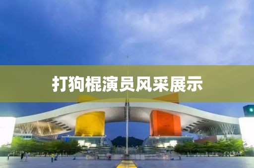 打狗棍演员风采展示