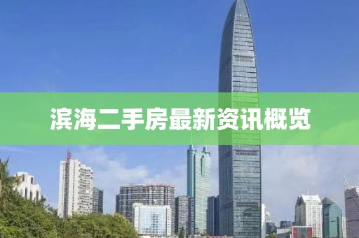 滨海二手房最新资讯概览