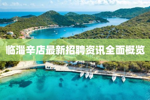 临淄辛店最新招聘资讯全面概览
