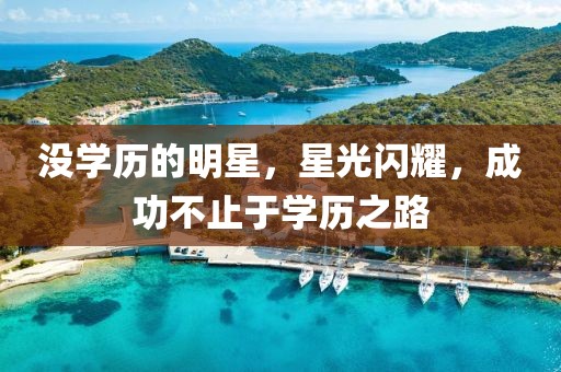 没学历的明星，星光闪耀，成功不止于学历之路
