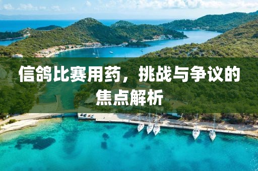 信鸽比赛用药，挑战与争议的焦点解析
