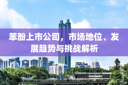 苯酚上市公司，市场地位、发展趋势与挑战解析