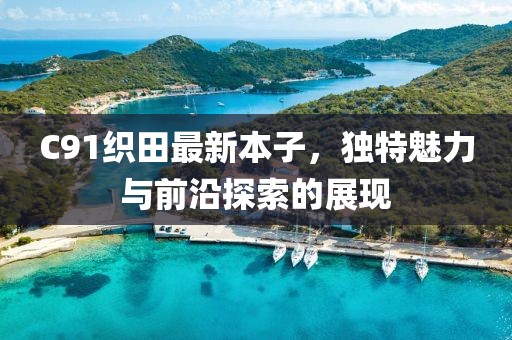 C91织田最新本子，独特魅力与前沿探索的展现