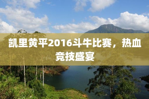 凯里黄平2016斗牛比赛，热血竞技盛宴