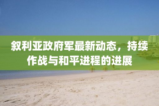 叙利亚政府军最新动态，持续作战与和平进程的进展