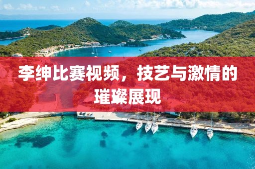 李绅比赛视频，技艺与激情的璀璨展现