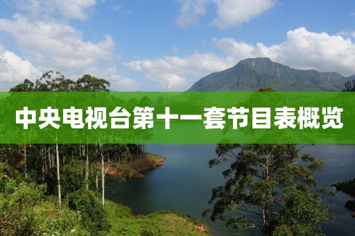 中央电视台第十一套节目表概览