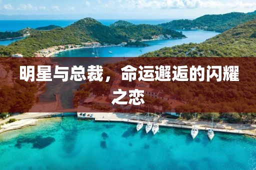 明星与总裁，命运邂逅的闪耀之恋
