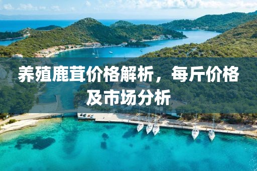 养殖鹿茸价格解析，每斤价格及市场分析