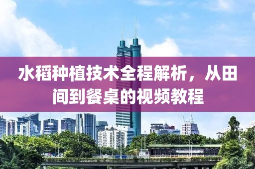 水稻种植技术全程解析，从田间到餐桌的视频教程