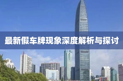 最新假车牌现象深度解析与探讨