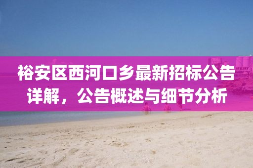 裕安区西河口乡最新招标公告详解，公告概述与细节分析
