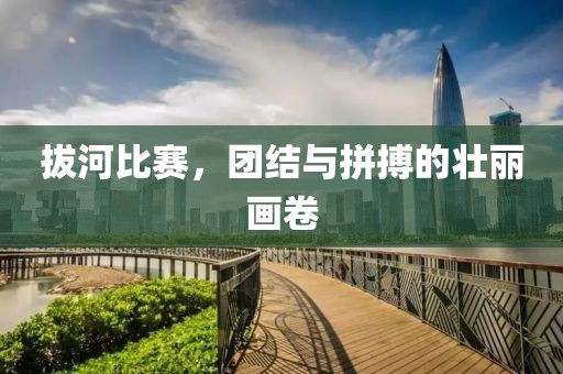 拔河比赛，团结与拼搏的壮丽画卷