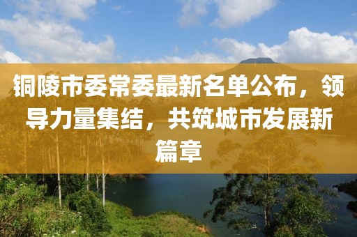 铜陵市委常委最新名单公布，领导力量集结，共筑城市发展新篇章