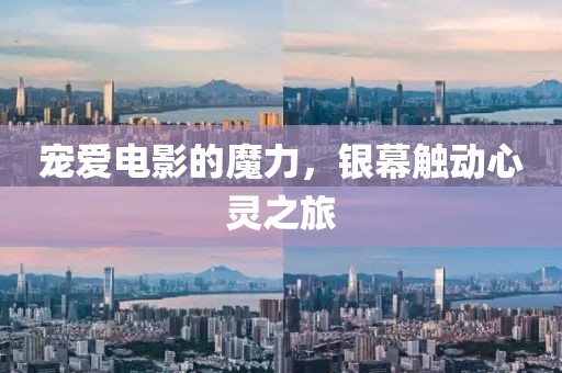 宠爱电影的魔力，银幕触动心灵之旅