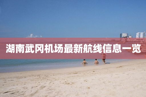 湖南武冈机场最新航线信息一览