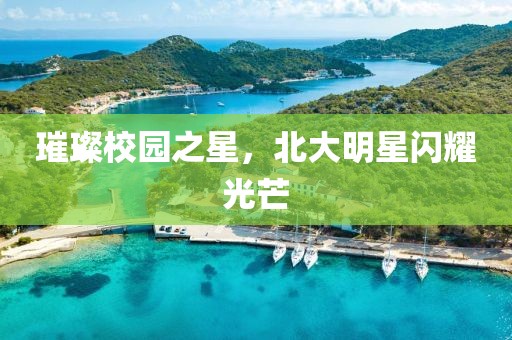 璀璨校园之星，北大明星闪耀光芒