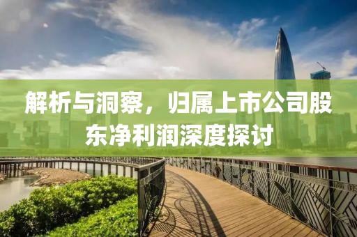 解析与洞察，归属上市公司股东净利润深度探讨