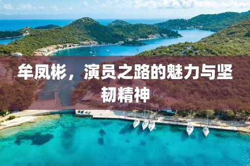 牟凤彬，演员之路的魅力与坚韧精神