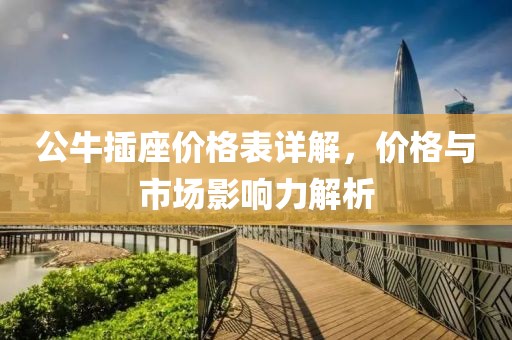 公牛插座价格表详解，价格与市场影响力解析