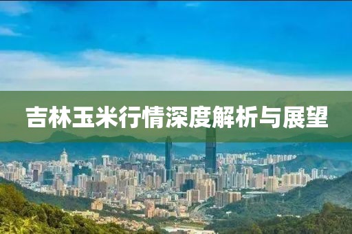 吉林玉米行情深度解析与展望