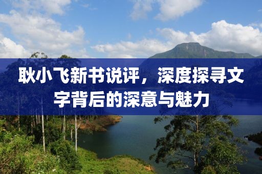 耿小飞新书说评，深度探寻文字背后的深意与魅力