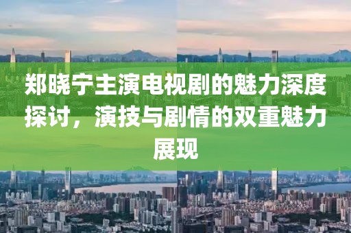 郑晓宁主演电视剧的魅力深度探讨，演技与剧情的双重魅力展现
