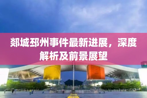 郯城邳州事件最新进展，深度解析及前景展望