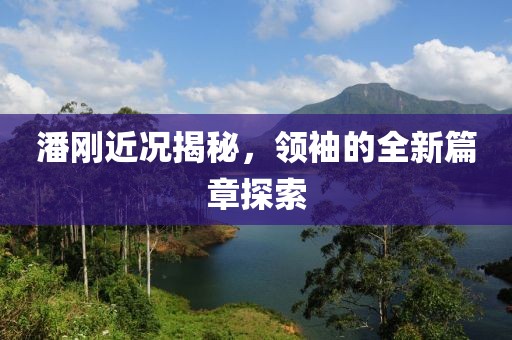 潘刚近况揭秘，领袖的全新篇章探索
