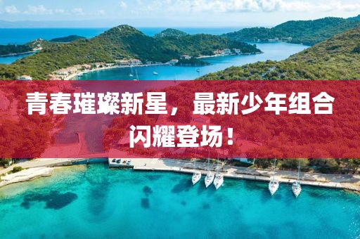 青春璀璨新星，最新少年组合闪耀登场！