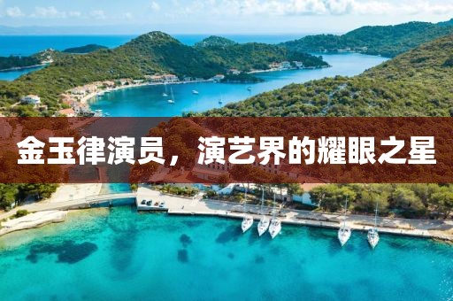 金玉律演员，演艺界的耀眼之星