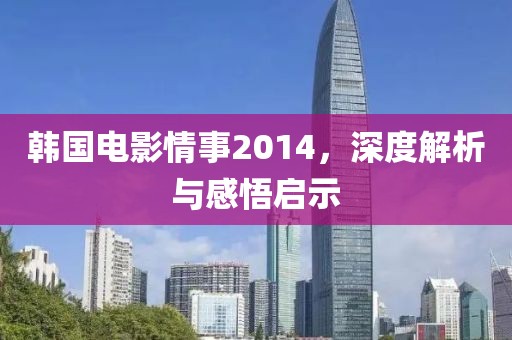 韩国电影情事2014，深度解析与感悟启示