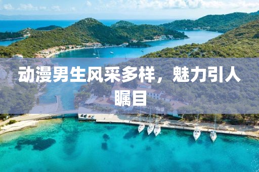 动漫男生风采多样，魅力引人瞩目