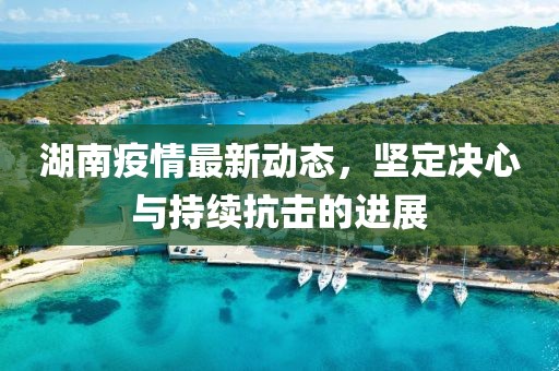 湖南疫情最新动态，坚定决心与持续抗击的进展