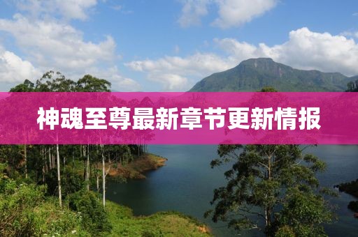 神魂至尊最新章节更新情报