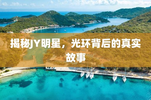 揭秘JY明星，光环背后的真实故事