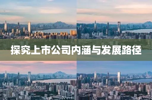 探究上市公司内涵与发展路径